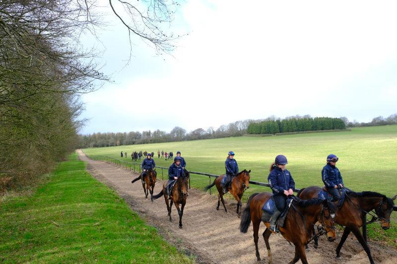 On the Gallops