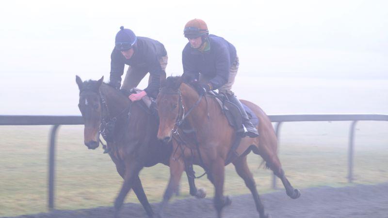 Ben Arthur and Champion Chase