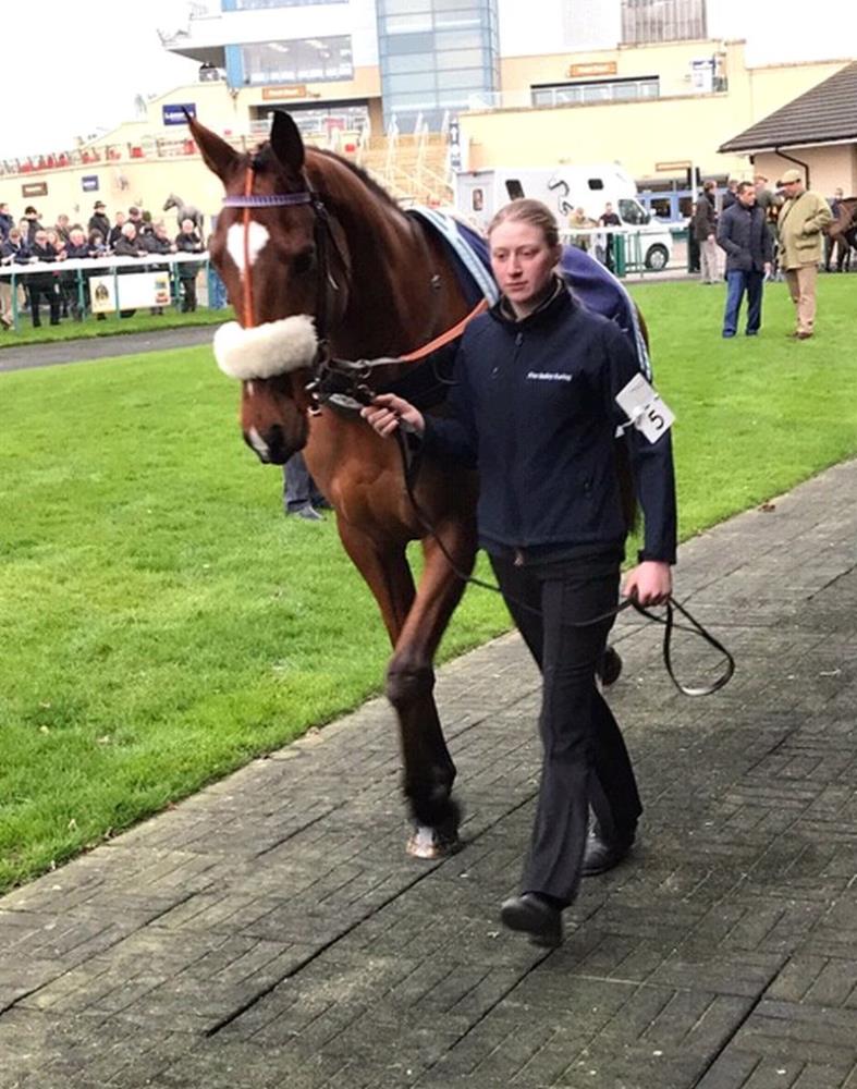 Beyond Supremacy in the paddock before his run in the last at Doncaster
