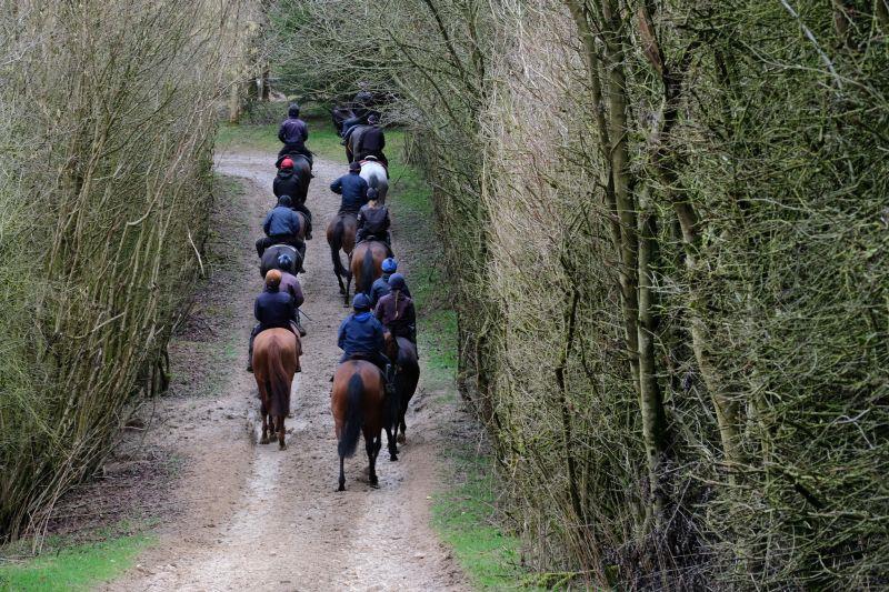 Heading to the gallops