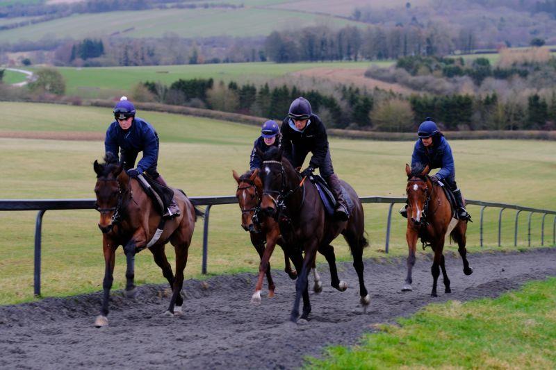Derrintogher Bliss, Blazon and Deseray in behind