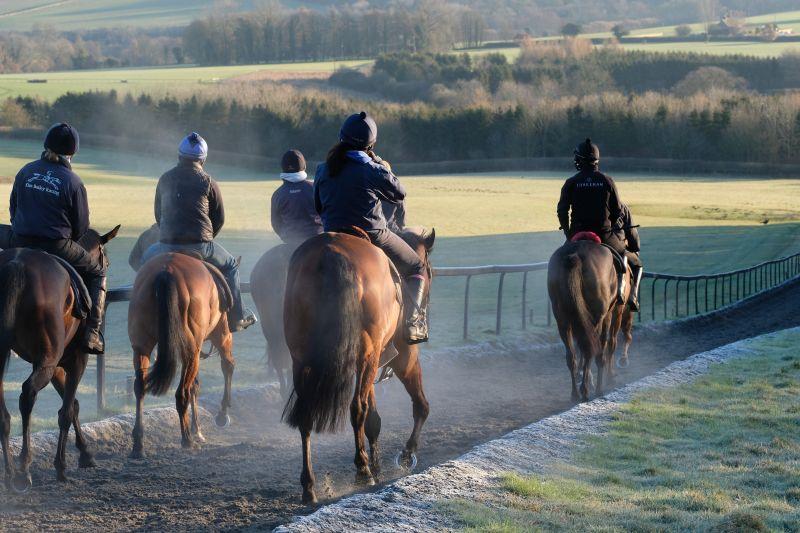 Heading back down the gallops after first lot