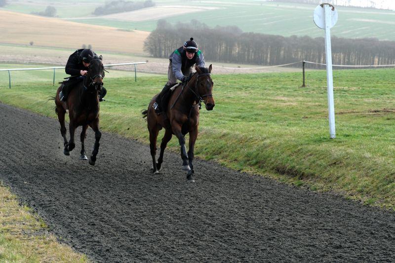 Royal Supremo on the left and Nicely Indeed on the right.. Working into a strong head wind