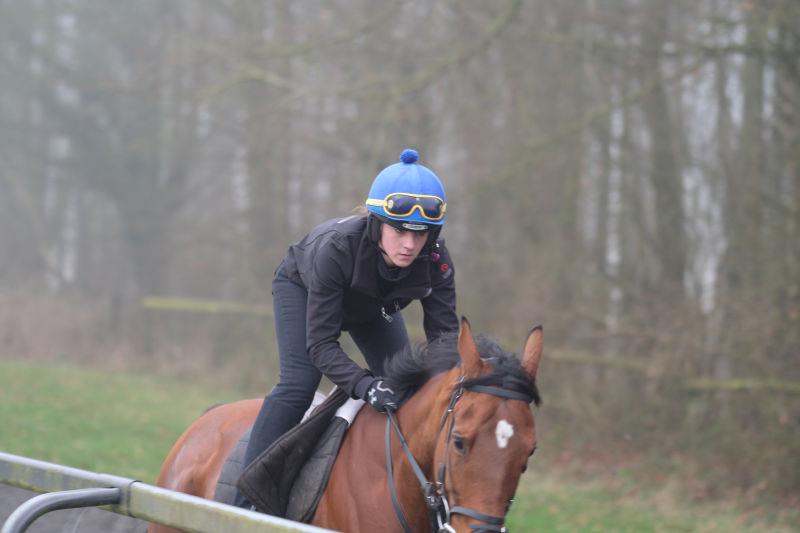 Molly Stubbs makes a guest appearance..Moly is off to work in Japan with Godolphin on Wednesday. Riding Boy In A Bentley