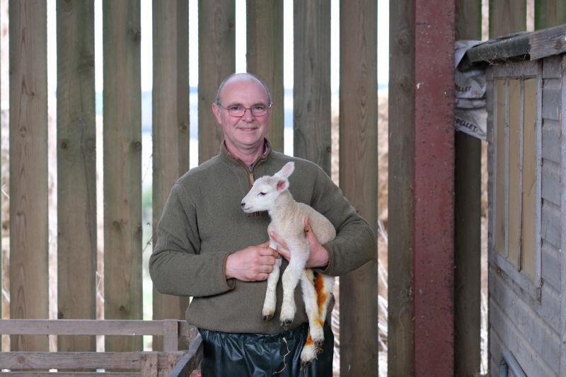 Gordon's season has started.. his first lamb at Thorndale this year.. busy times ahead for Gordon and Pat