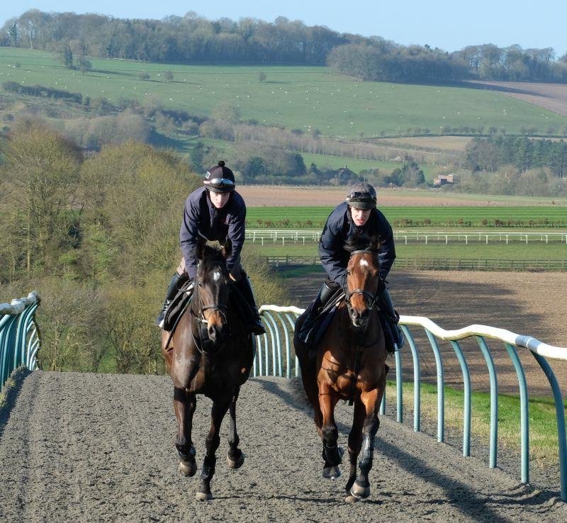 Minella Warrior and Creswell Legend in Lambourn this morning