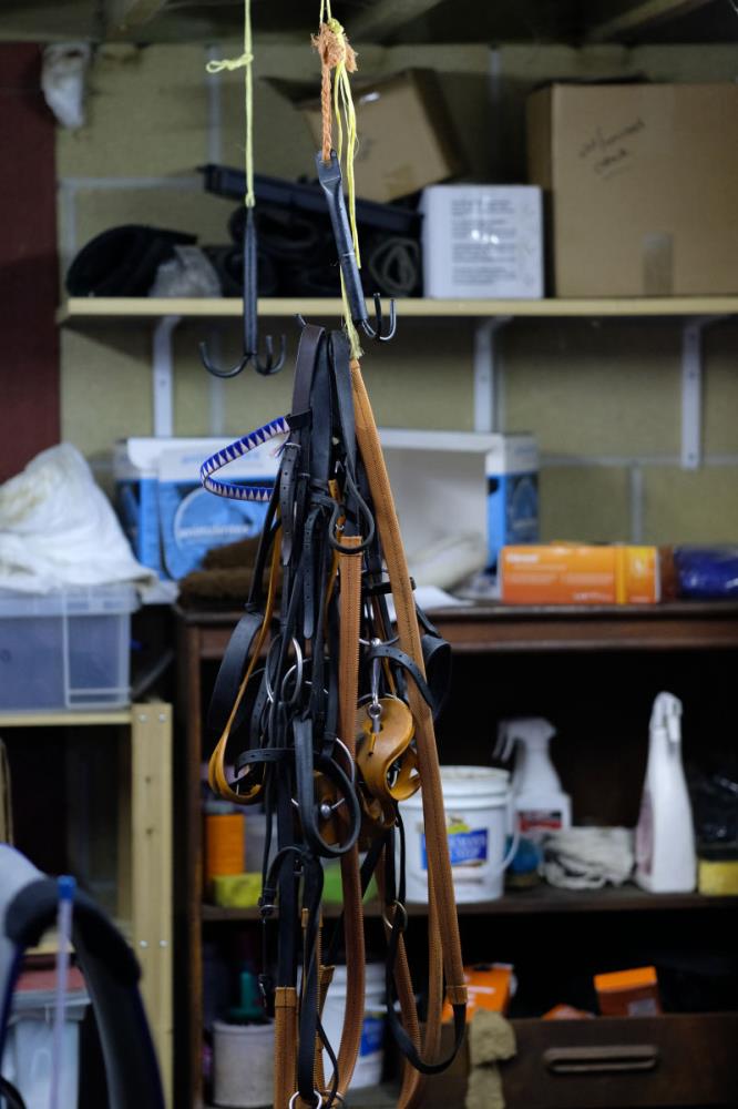 Leigh's tack room and racing bridles waiting for a clean