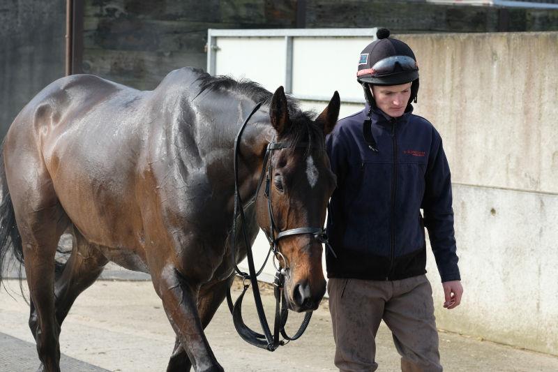 Wanderin Star and Mikey Hamill who rode a winner at Plumpton yesterday