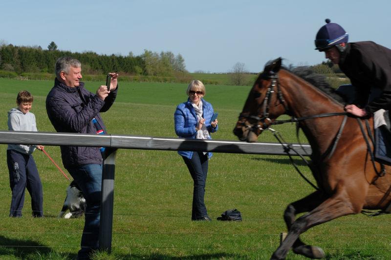Andy Sulin filming his horse Aliandy cantering