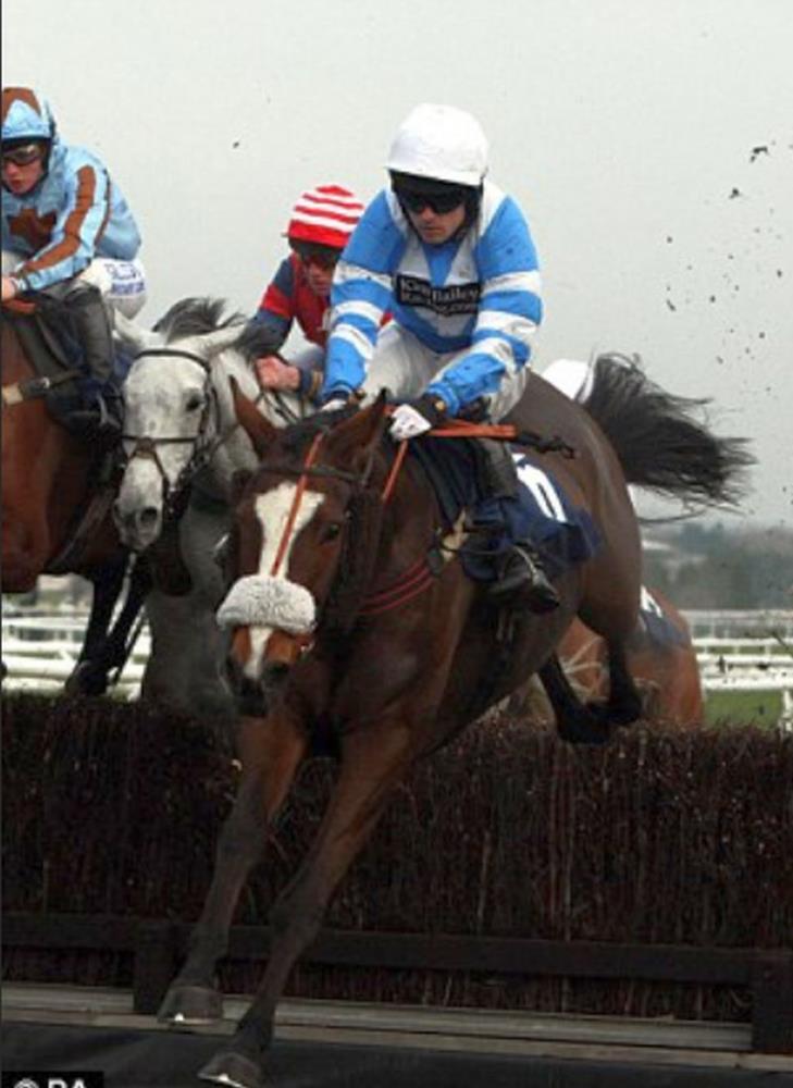 Regal Approach winning at Newbury in his racing days