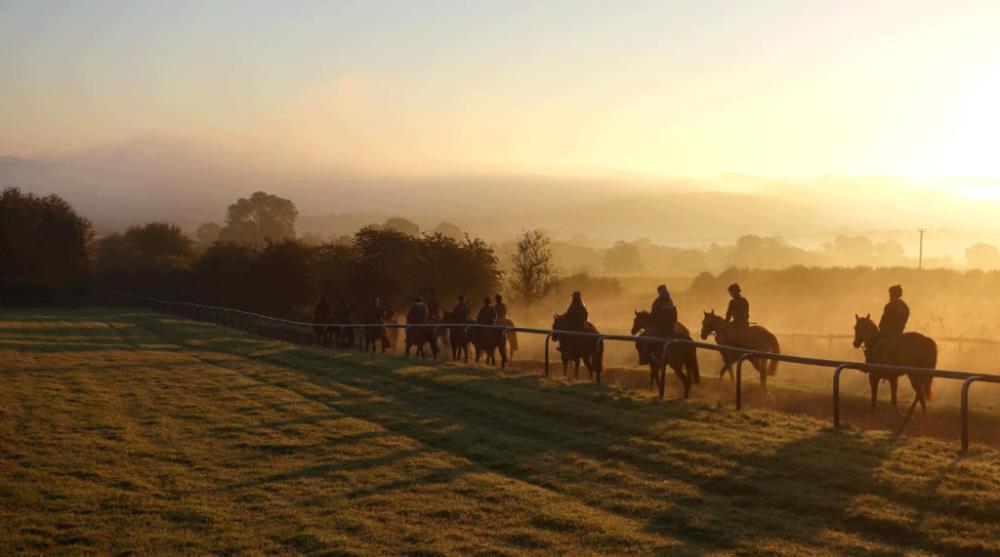 Early morning gallops hear this spring