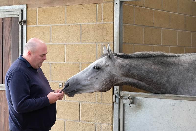 Steve talking to his promising KBRP horse Silver Kayf