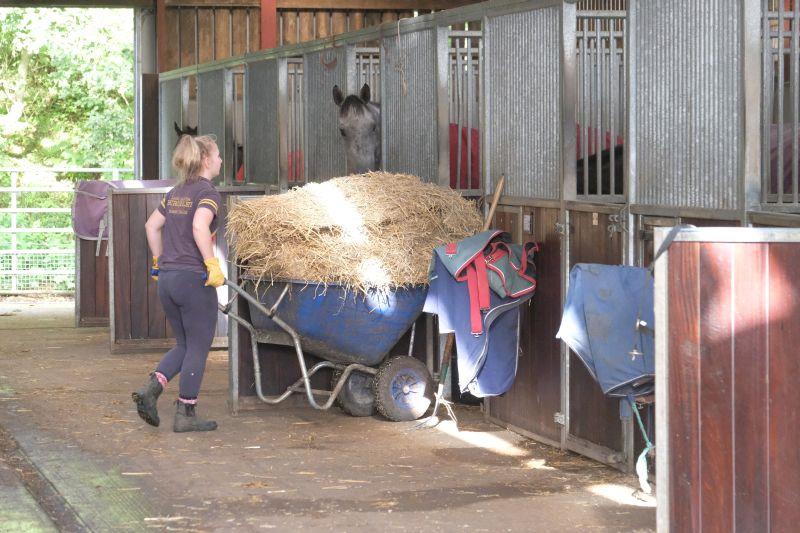 Bedding up the stables