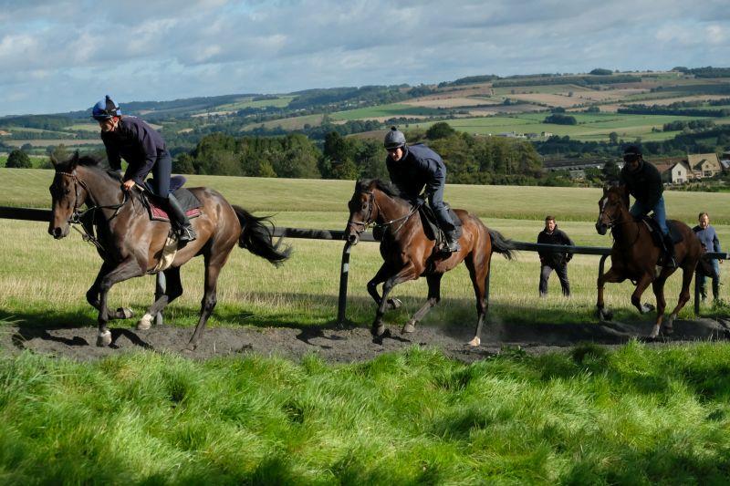Thedrinkymeister leading Harry Topper and the Schiaparelli Gelding