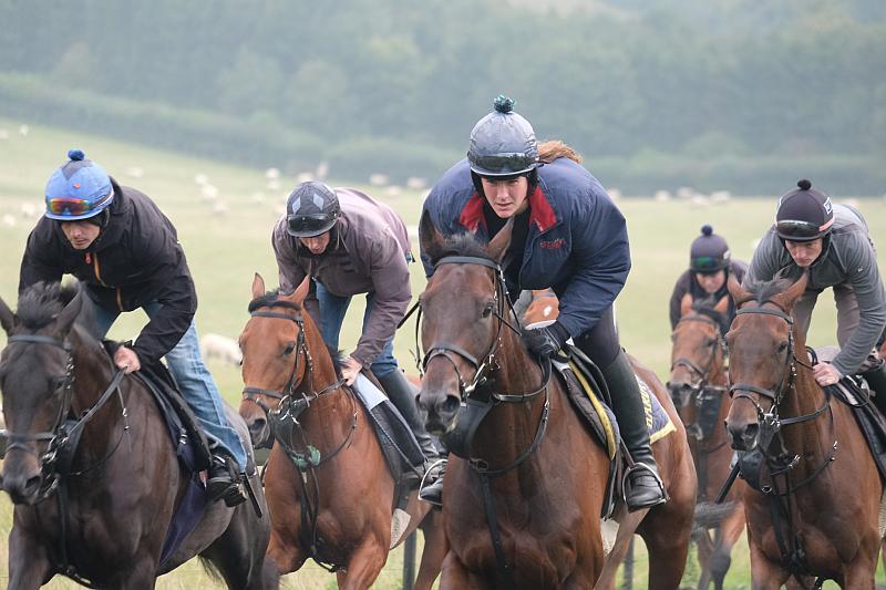 Cascaye on the left and Harry Topper on the right  leading the string this morning. Mon Palois and Derrintogher Bliss in behind