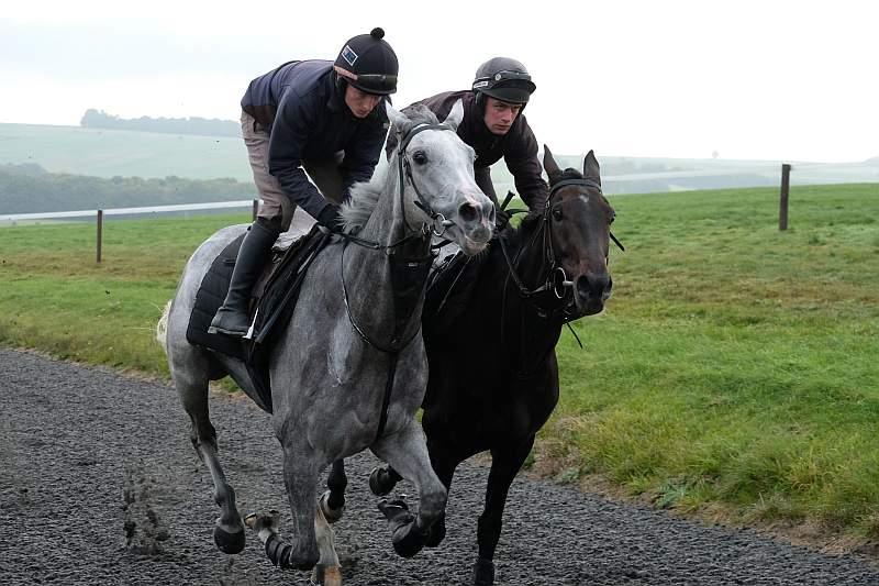 Silver Kayf and First Flow working this morning