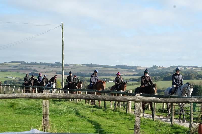 Heading off to the gallops