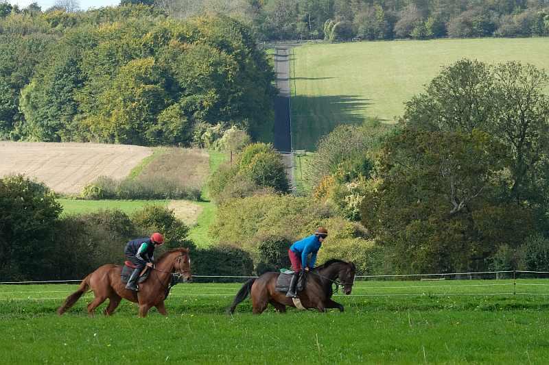 Laval Noir leading on the sand gallop.. You can see our other gallop going up the hill behind him
