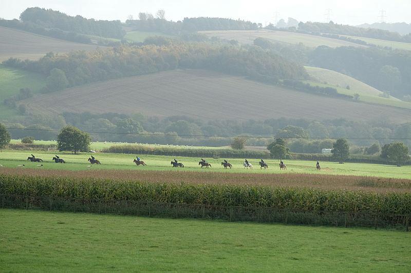 The view from the yard of the horses cantering around the sand gallop 