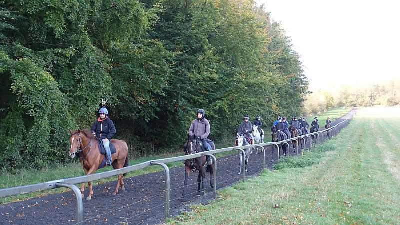 Glenforde and Thumb Stone Blues leading the horses down the gallop