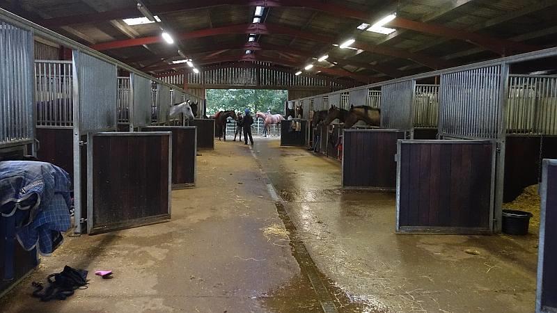 Back into the bright lights of the stables