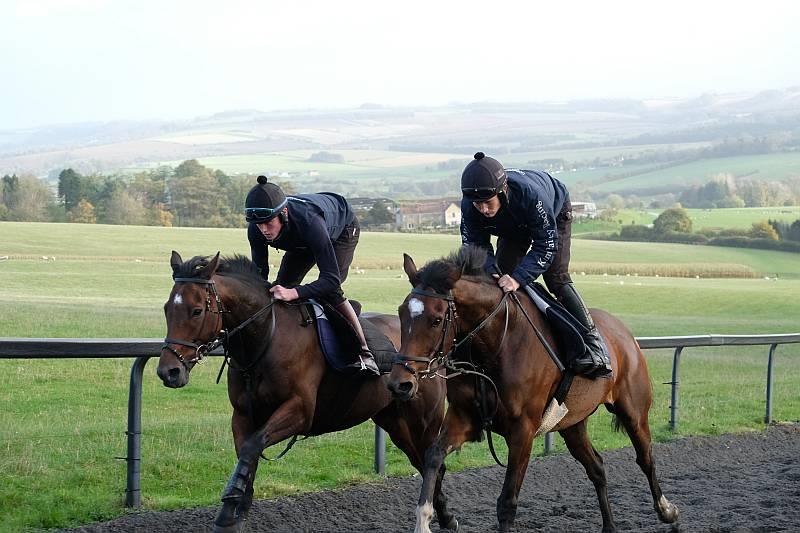 Cresswell Legend and Charbel