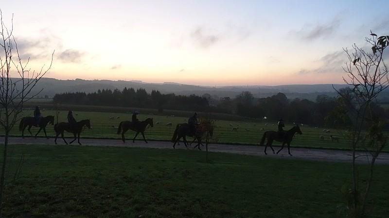 Walking to the gallops in the dark first lot