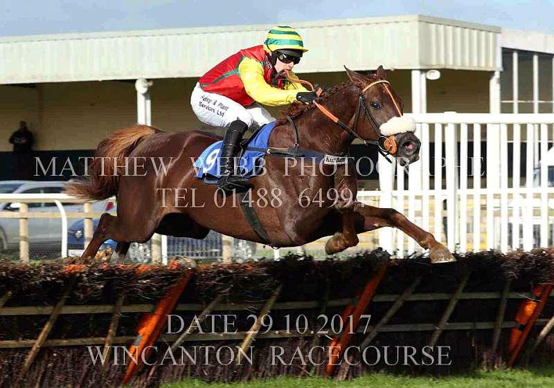 Red River jumping the last at Wincanton