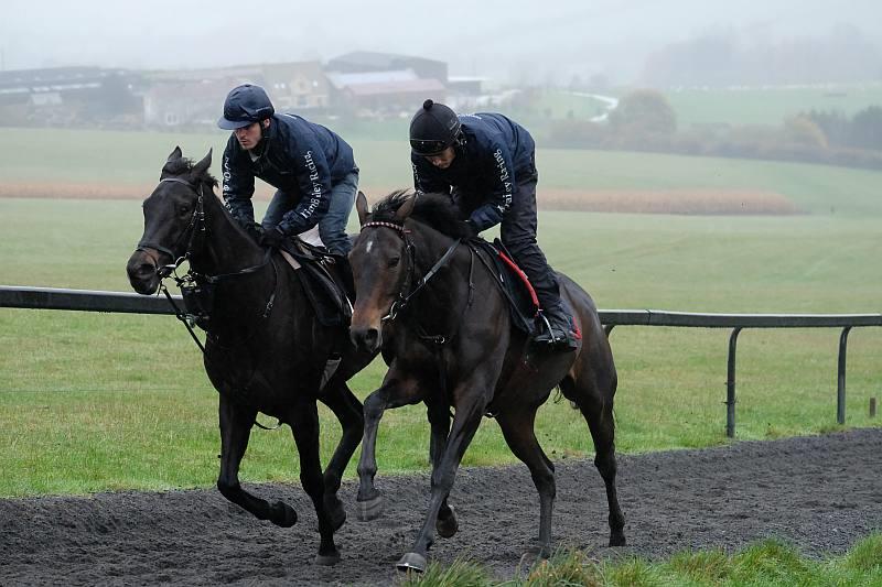 11th November 2017 Blog