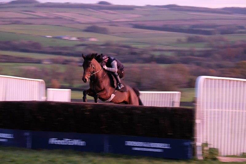 Sainte Ladylime jumping this morning early.. she heads to Uttoxeter later