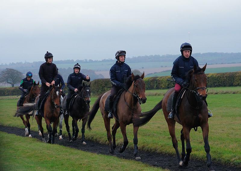 Heading to the gallops in Lambourn