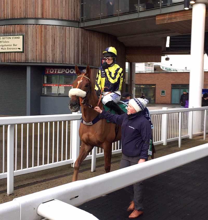 The Last Samuri looks happy to tackle those fences at Aintree again..Second again