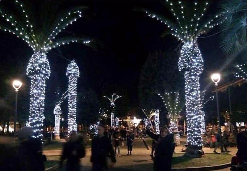 Interesting Christmas decorations on Palm trees ?