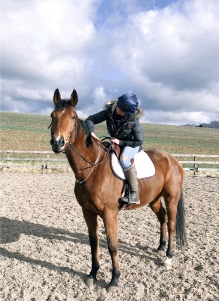 Fifty Bob who has been retired seen here being ridden for the first time by Jess.. 