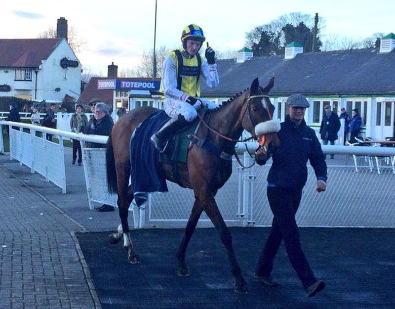 Sea Story and Mikey Hamill return to the winers enclosure