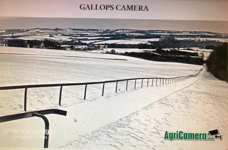 Gallop camera view this morning.