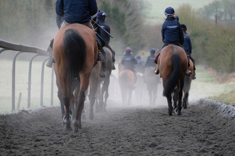 Walking down the gallop