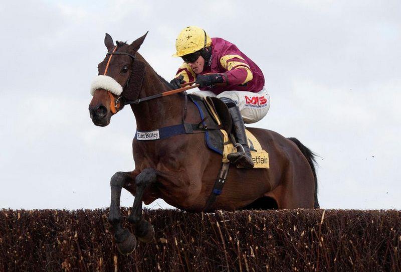 The Denman Chase with Jason Maguire