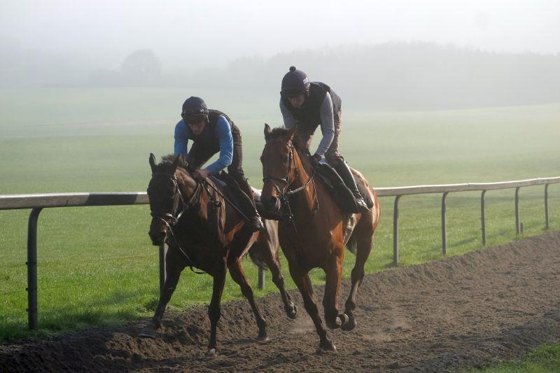 Royal Supremo and Imperial Aura working