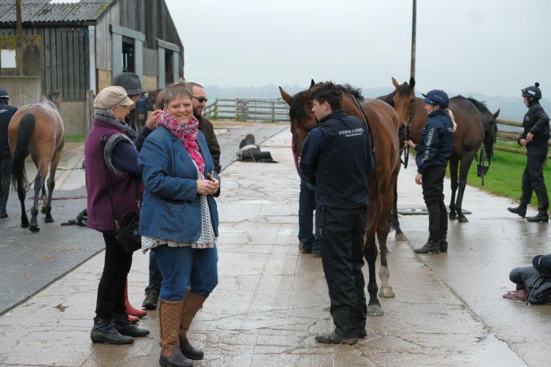 Our CD Tours guests wandering around the yard meeting staff and horses