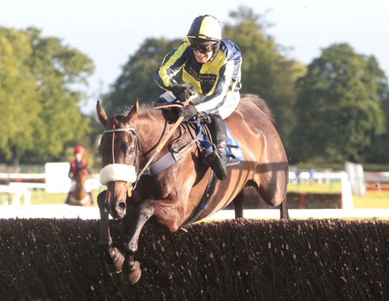 Sonneofpresenting winning at Fontwell