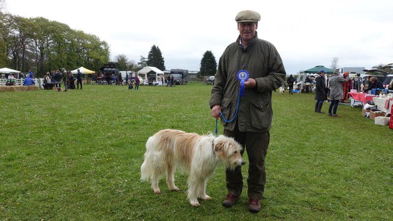 Bear looks even  more deject than me for finishing second in the most handsome dog class..
