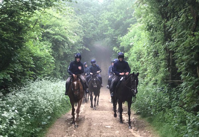 Little Chunk and Milord leading the horses back from the gallops this morning.