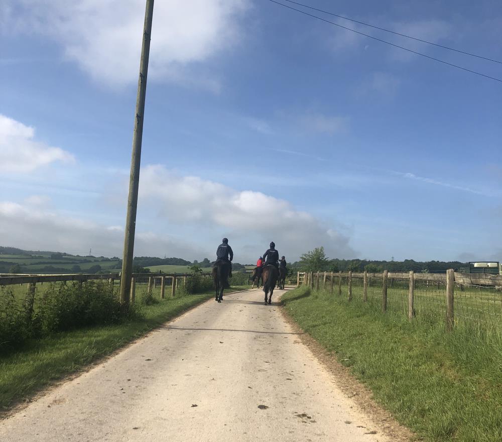 The string on their way to the gallops this morning