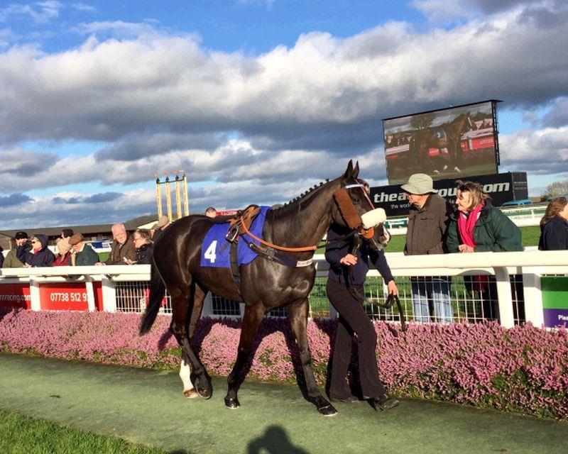 Milord at Taunton where he won on March 20th 2017