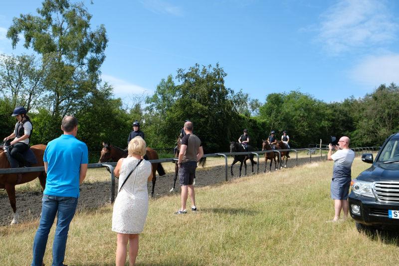 Watching the string on the gallops