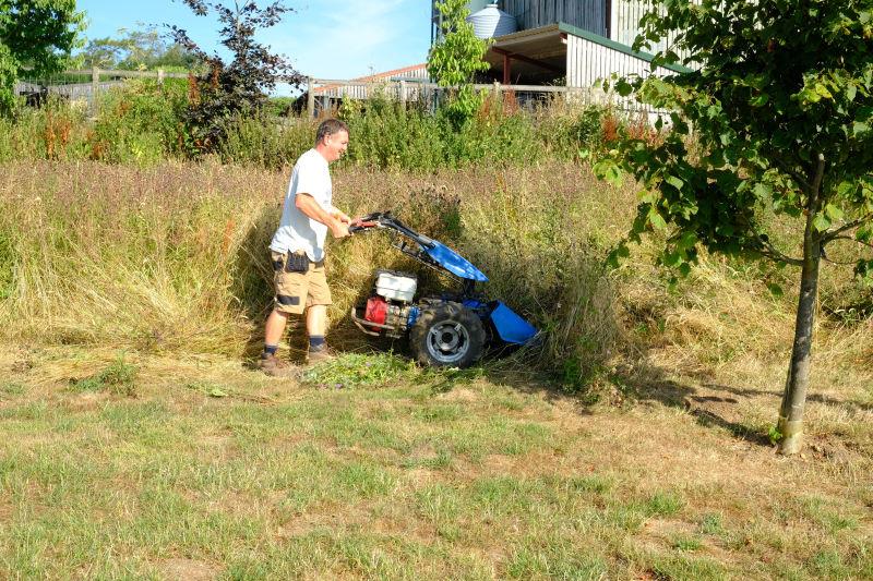 Kevin cutting down the wild flowers in the Thorndale Farmhouse drive