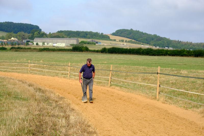 Higgs checking the gallop