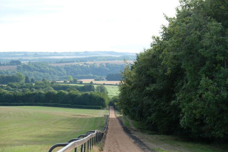 Looking down the hill gallop and you can see a horse going around the sand gallop in the green field below