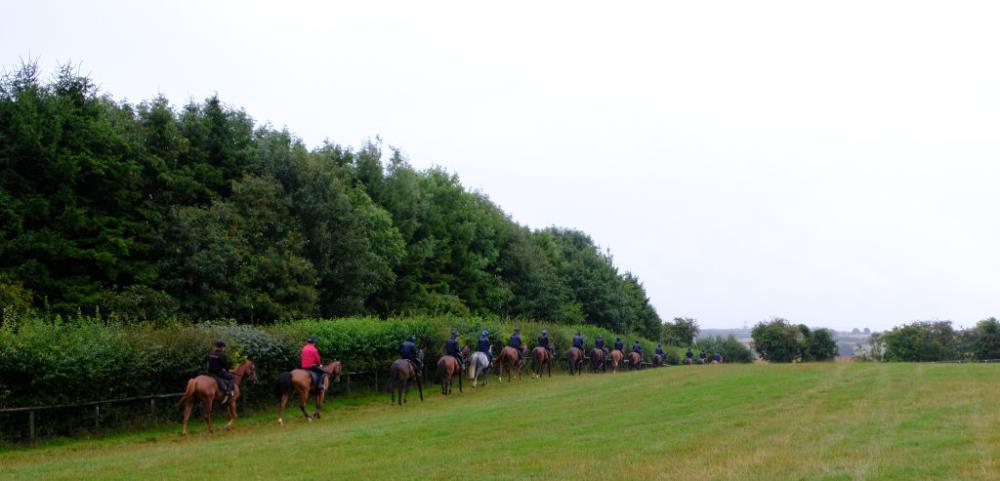 Heading to the gallops first lot